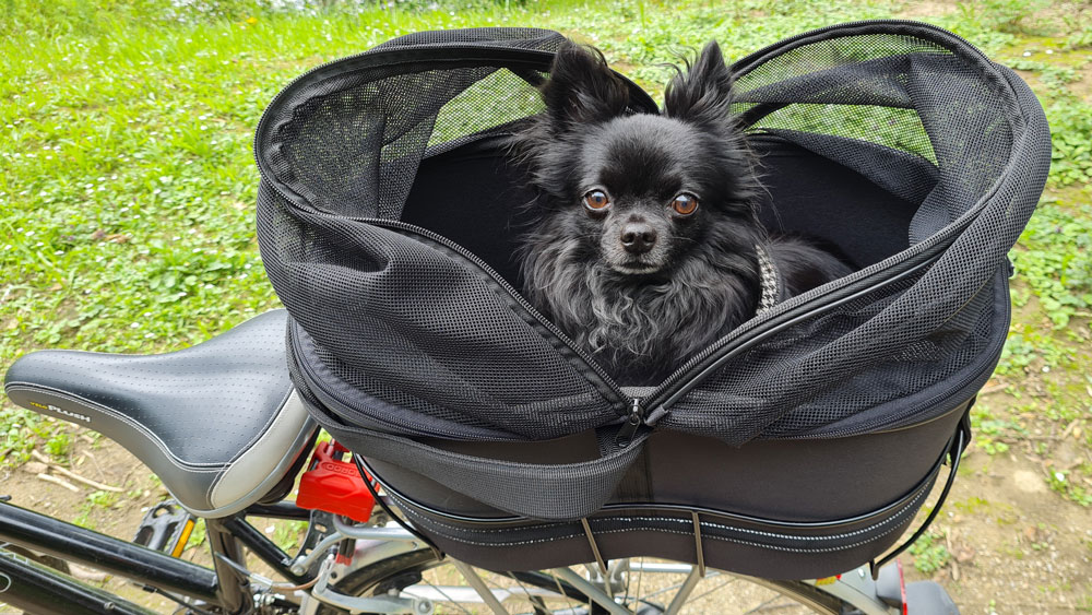 Welcher Hundefahrradkorb für kleine Hunde?